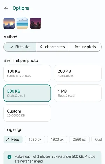 The Options screen with Fit to size selected and size limit tiles for 100 KB, 200 KB, 500 KB, 1 MB and Custom; 500 KB is selected in this capture.