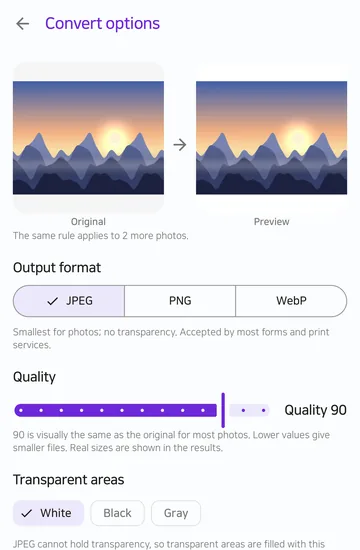 The Convert options screen shows the original and the preview side by side, with JPEG selected as the output format, quality 90 and white for transparent areas.
