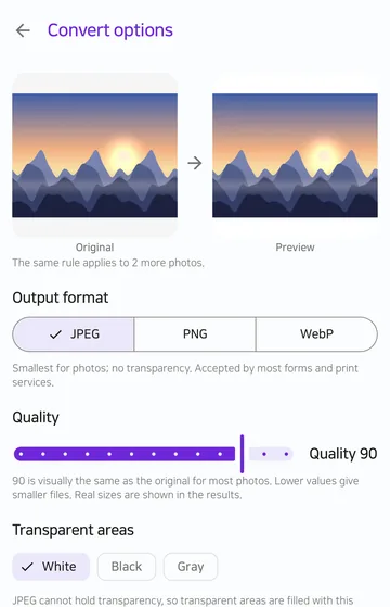 The Convert options screen with JPEG output, quality 90 and white selected for transparent areas.