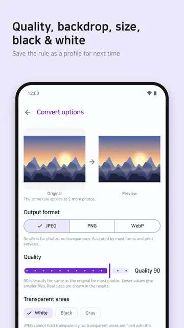 Convert options: format, quality, transparency and long edge